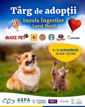 Autoritatea pentru Supravegherea și Protecția Animalelor (ASPA) organizează pe 1 și 2 octombrie, de la ora 11:00 la ora 17:00, un nou târg de adopții