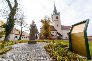 Deputatul AUR, domnul Dan Tanasă, a trimis o solicitare de informații către primarul Soós Zoltán