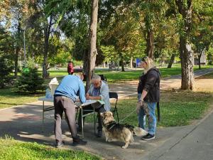 Fii stăpân responsabil, microcipează-ți câinele! Te costă doar 5  minute