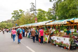 Zilele Recoltei, ediția 2022