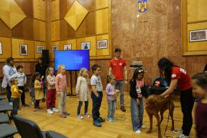 Consiliul Județean Harghita - o instituție Family Friendly