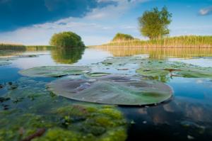 Consiliul Județean Tulcea va promova turismul din Delta Dunării și Dobrogea de Nord la cel mai important Târg de turism din Polonia
