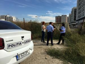 Amenzi de peste jumătate de milion de lei pentru terenuri neîngrijite și ambrozie