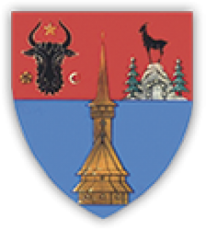 ANUNŢ DE PARTICIPARE: în scopul atribuirii contractelor de finanțare nerambursabilă  pentru domeniile: cultură, tineret, sport