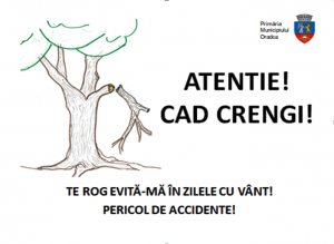 Arborii care prezintă un pericol vor fi semnalizați