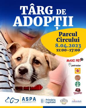 Un nou târg de adopții de căței, în Parcul Circului. 40 de căței vor fi propuși spre adopție