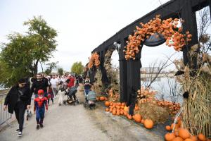 Cel mai mare festival de Halloween din România, în cifre: peste 80.000 de oameni în trei zile au ajuns pe insula Lacul Morii
