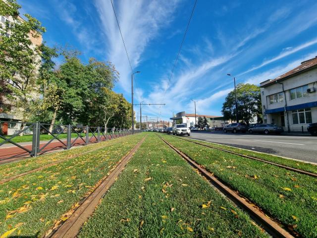 A început înierbarea liniei de tramvai din coridorul  Nufărul-Cantemir