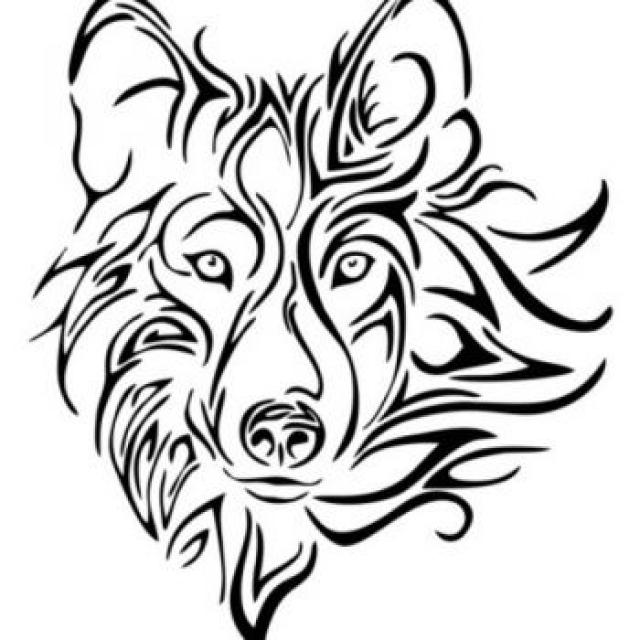 Servicii de arhivare fizica(traditionala) 