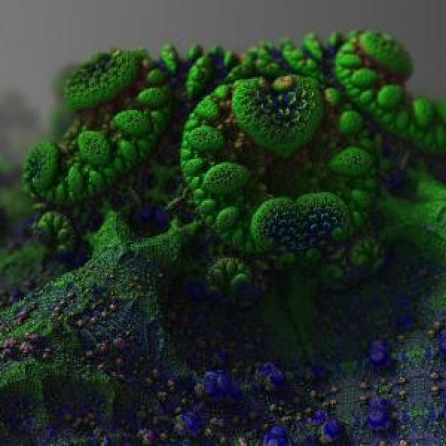 DEZINFECTIA/ COMBATEREA INFECTIILOR SI MICROORGANISMELOR