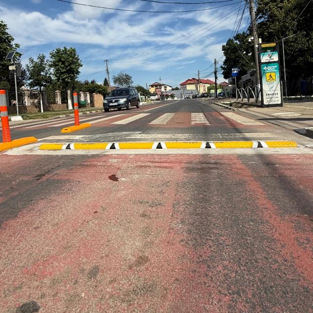 Sistem Senzoristic FLX-SSR pentru Stoparea Accidentelor pe Trecerile de Pietoni  și  în Localități.