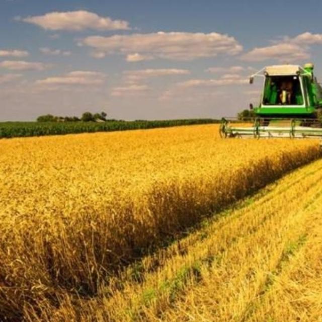 CURS ON-LINE REGISTRUL AGRICOL, CADASTRU SI FOND FUNCIAR 2025 (DIPLOMA 30 ORE)