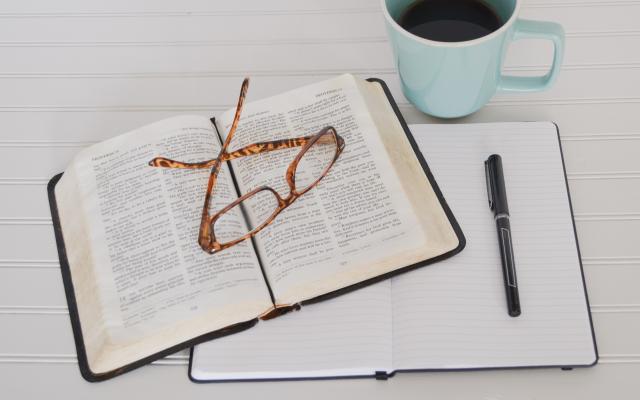 REFERENT RESURSE UMANE - CURS ONLINE
