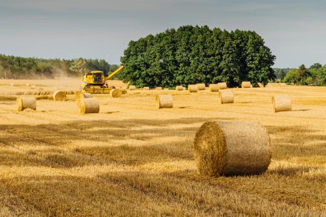 REGISTRU AGRICOL – NOUTATI LEGISLATIVE - CURS ONLINE